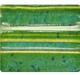 1140 Texture Kiwi Fruit