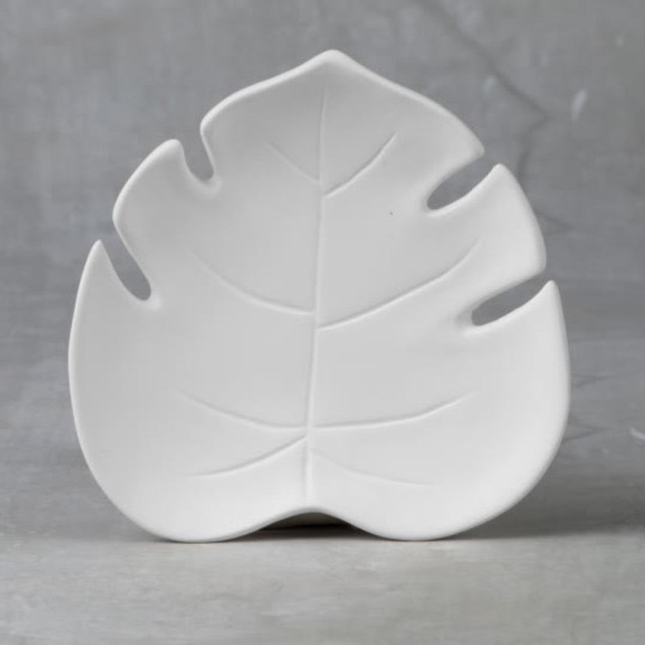 Monstera Dish