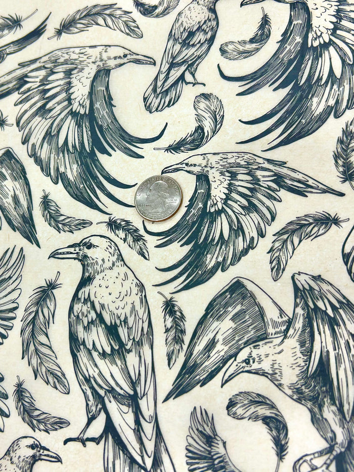 Ravens