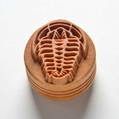 Scl-122 Large Round Stamp – Trilobite Fossil