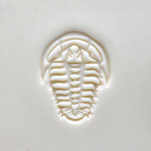 Scl-122 Large Round Stamp – Trilobite Fossil