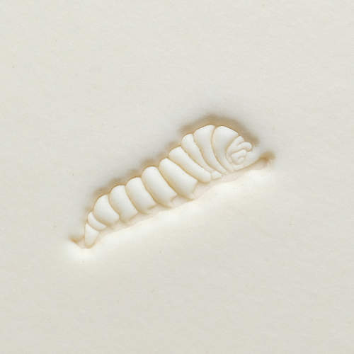 Scm-278 Medium Round Stamp – Caterpillar