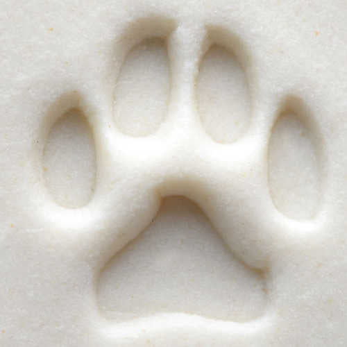 Scs-001 Small Round Stamp – Dog Paw