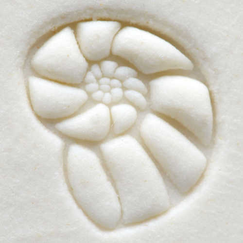 Scs-021 Small Round Stamp – Nautilus
