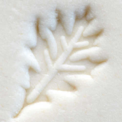 Scs-057 Small Round Stamp – Oak Leaf