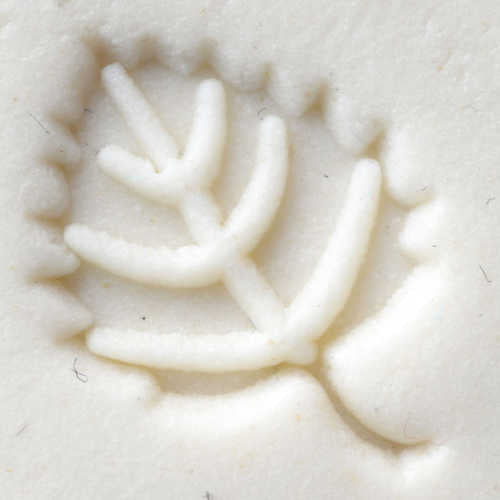 Scs-060 Small Round Stamp – Beech Leaf