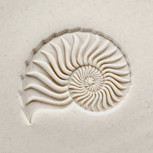 Scxl-004 Extra Large Round Stamp – Nautilus