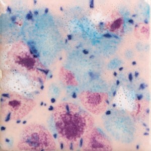 998 Pink Pixie Jungle Gem