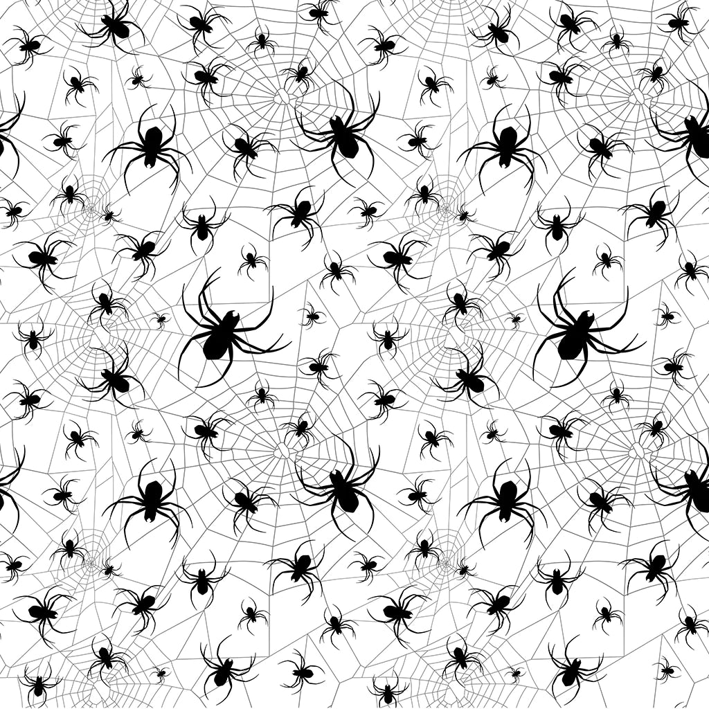 Spider Web
