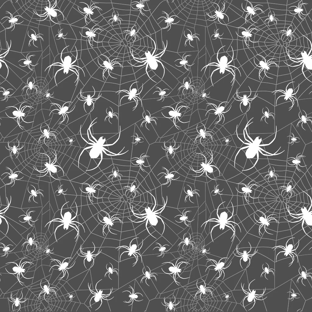 Spider Web