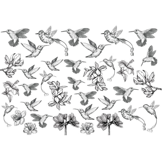 Hummingbird