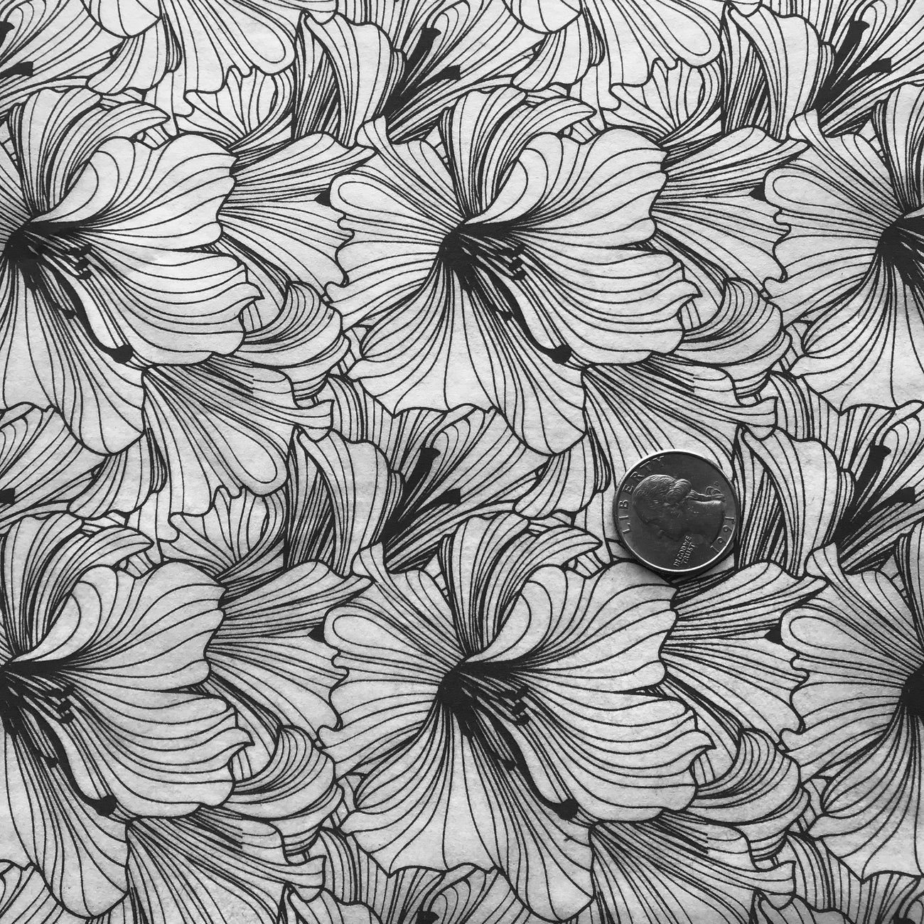 Hibiscus