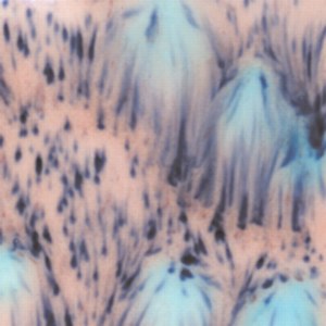 2702 Northern Lights Jungle Gem