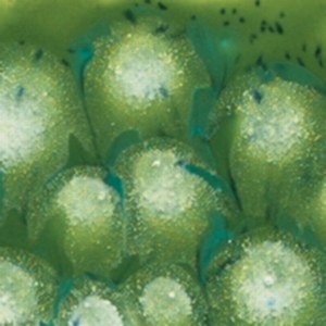2715 Spotted Kiwi Jungle Gem