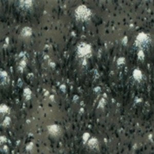 2718 Cosmic Black Jungle Gem