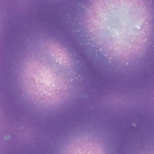 2723 Grape Divine Jungle Gem