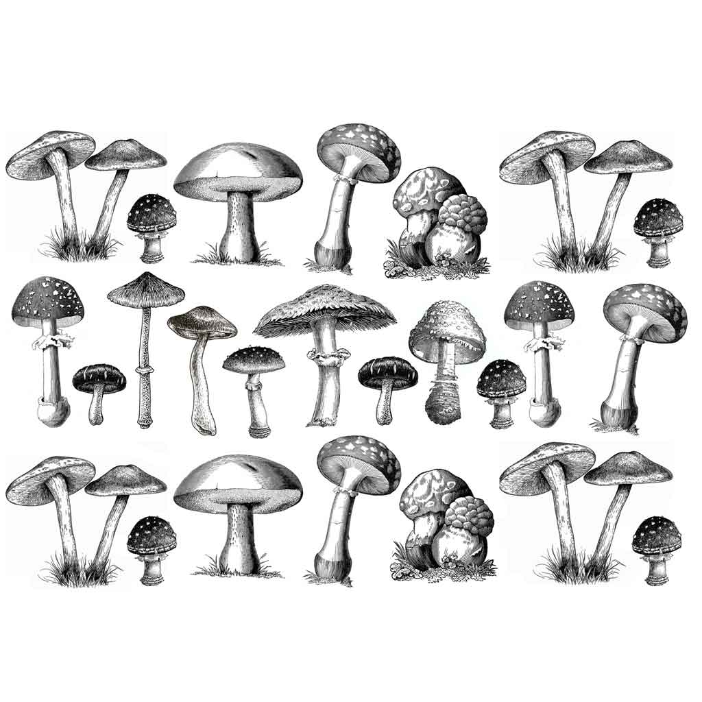Mushroom