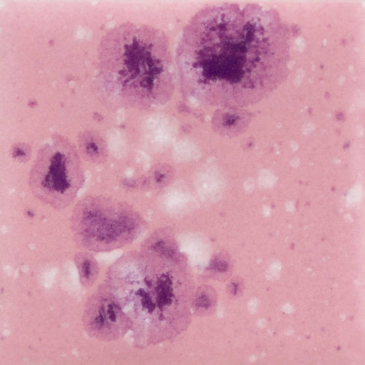 1014 Pink Plum Jungle Gem