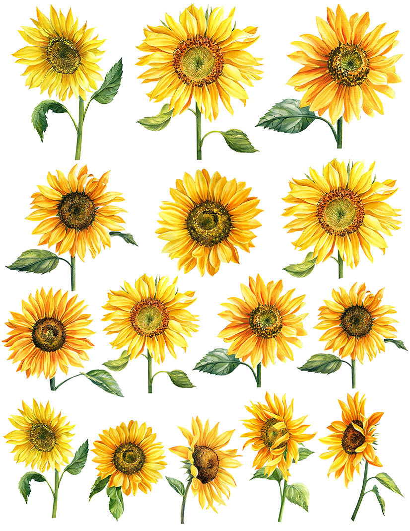 Sunflower Overglaze Decal