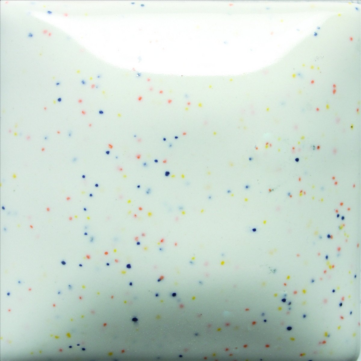 Queue de coton moucheté SP-216