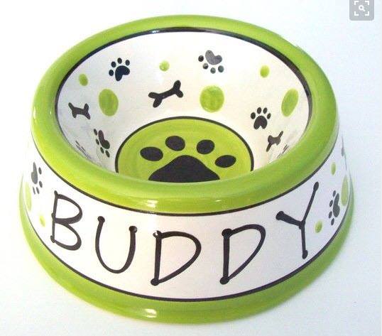 Small Pet Dish