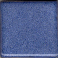Blue Cornflower