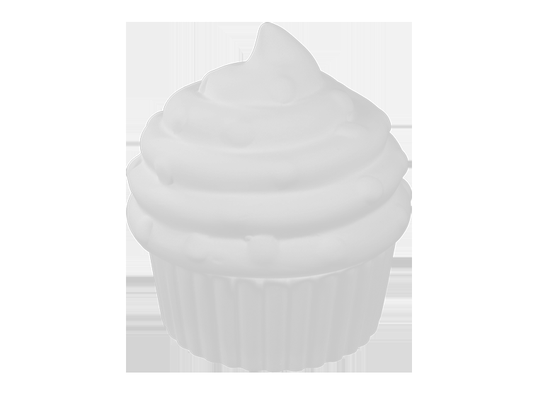 Large Cupcake Box