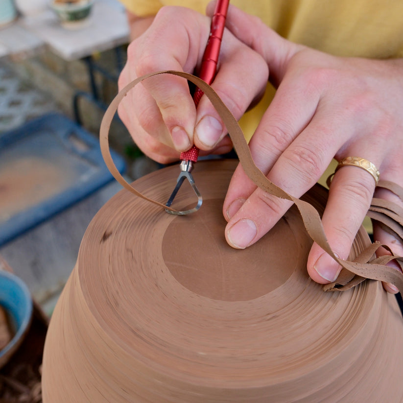 BuschKraft Dragonfly Tool, Universal Handle with BuschKraft Delta Tungsten Blade