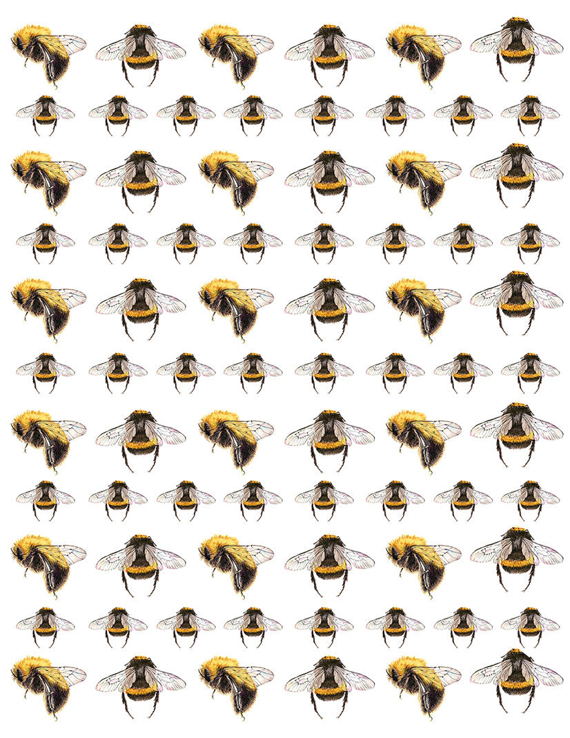 Bee Overglaze Decal - Great White North Pottery Supplies