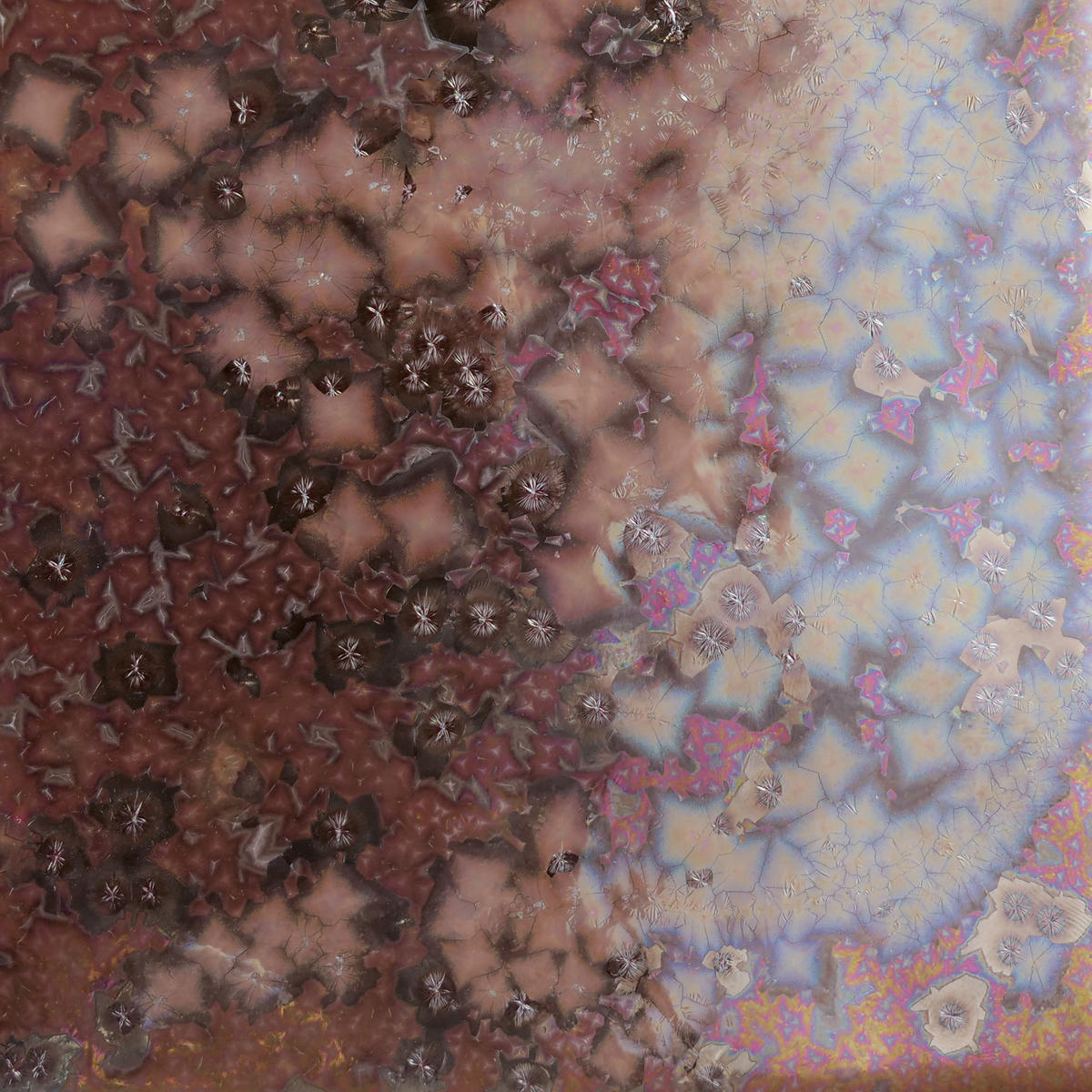 Glaze Samples 4 oz