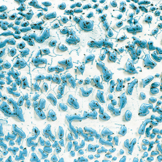 CR-22 Speckled Teal