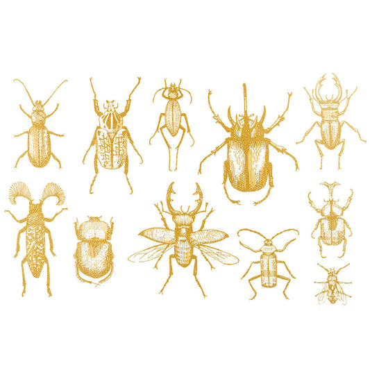 Décalcomanie Bugs Gold Overglaze