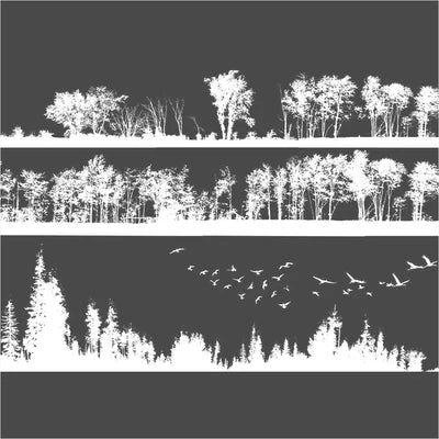 Forest Silhouette