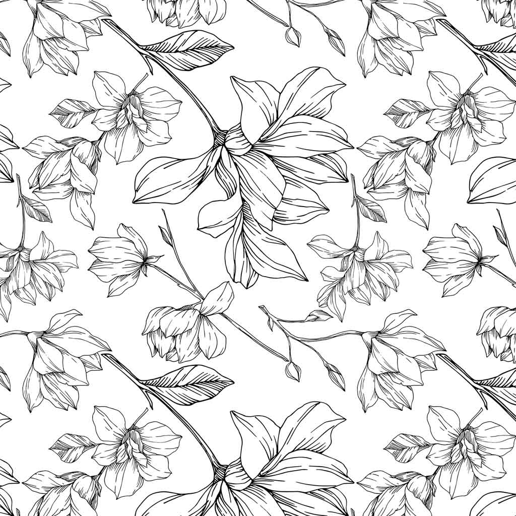 Magnolia