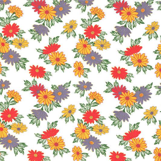 Sunflower (Colour)