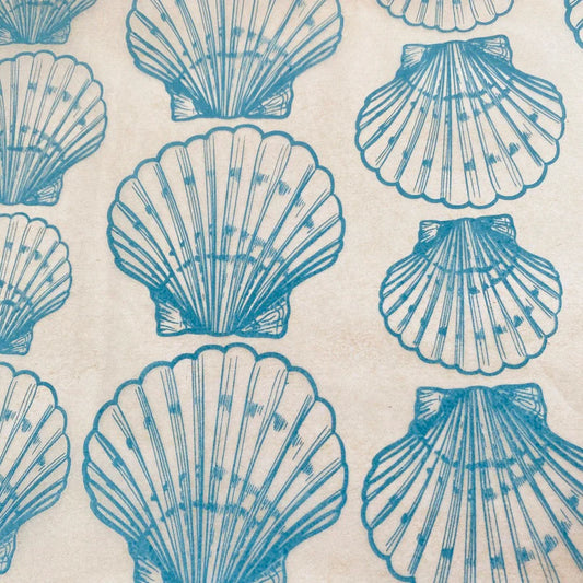 Shells Scallop
