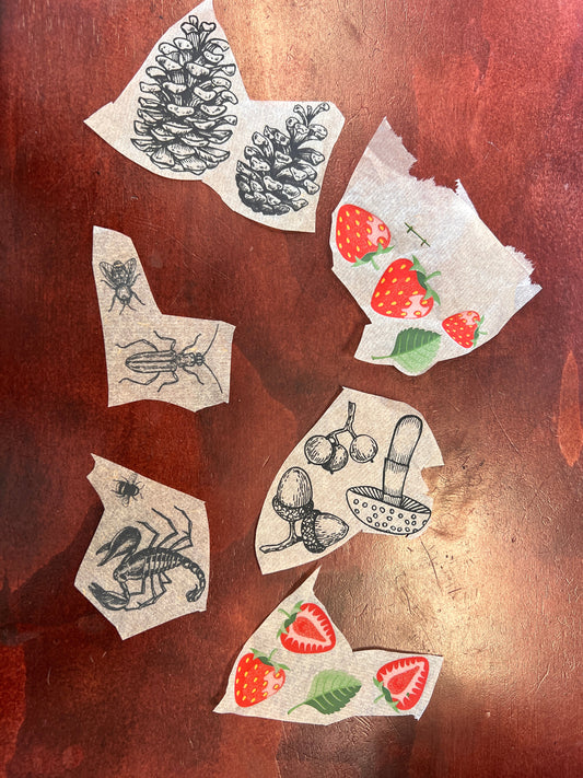 Underglaze Transfer Sample