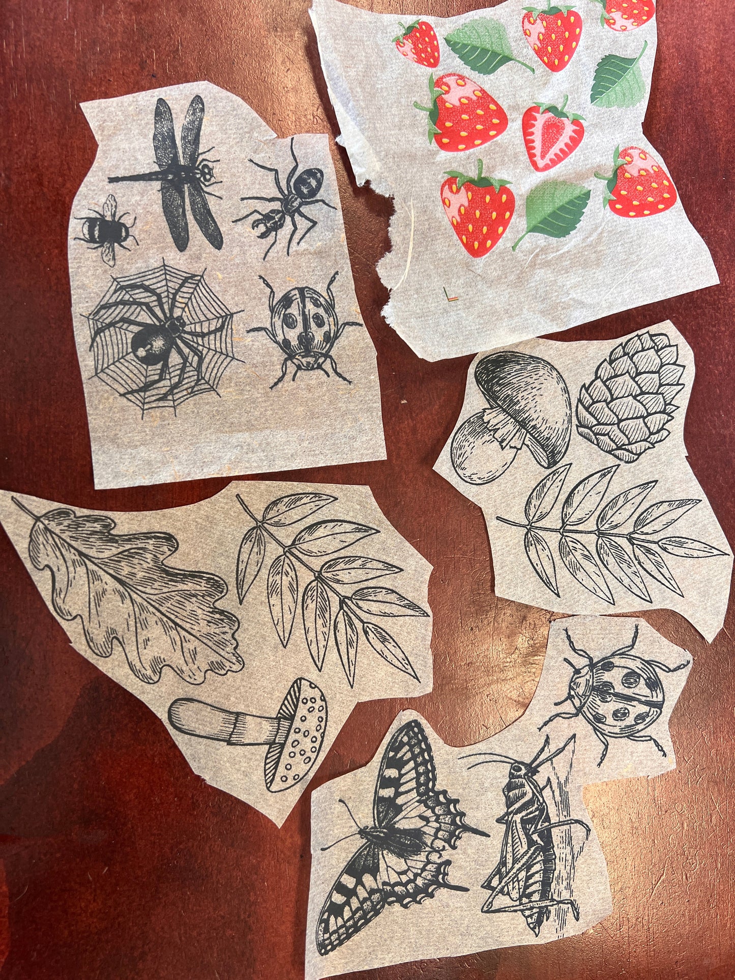 Underglaze Transfer Sample