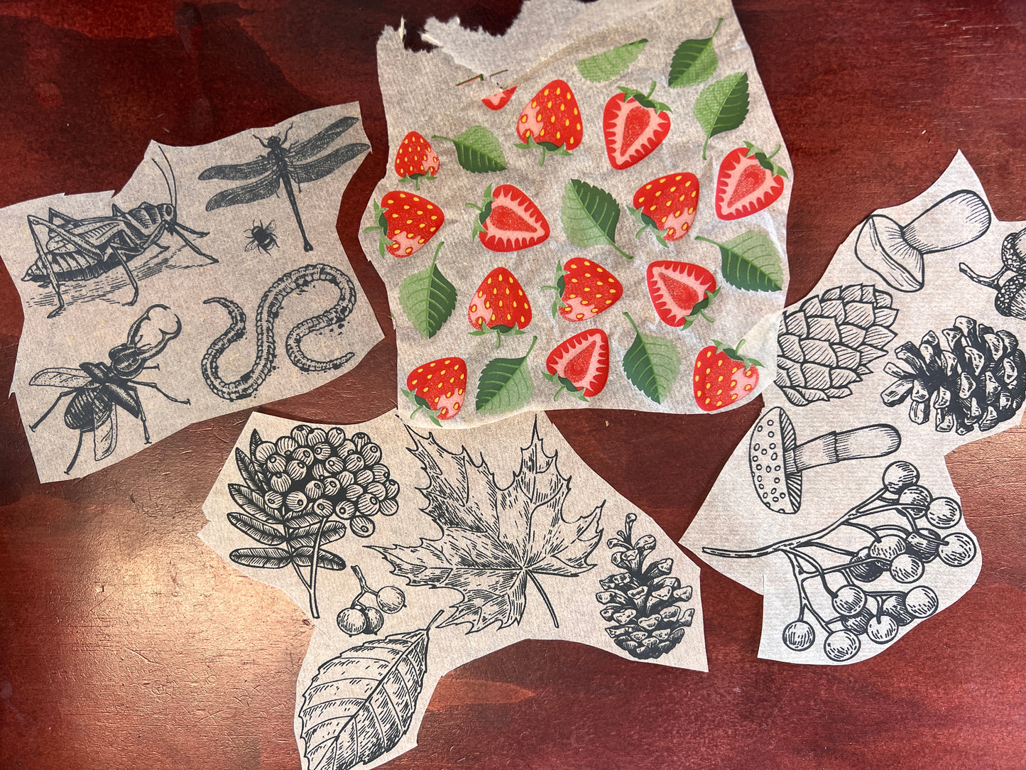 Underglaze Transfer Sample-seasonal