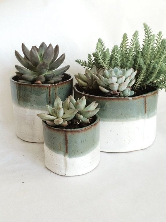 Planter Workshop with Tanis