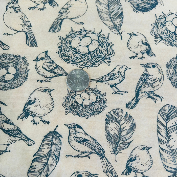 Nests