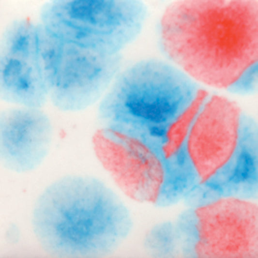 2731 Kaboom Jungle Gem