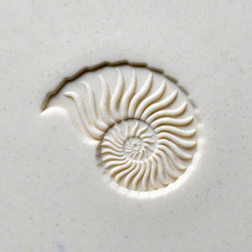 Scl-002 Large Round Stamp &#8211; Nautilus