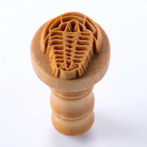 Scm-261 Medium Round Stamp – Trilobite Fossil