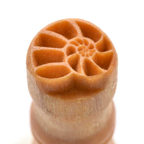Scs-021 Small Round Stamp – Nautilus