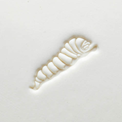 Scl-140 Large Round Stamp &#8211; Caterpillar