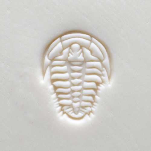 Scm-261 Medium Round Stamp &#8211; Trilobite Fossil