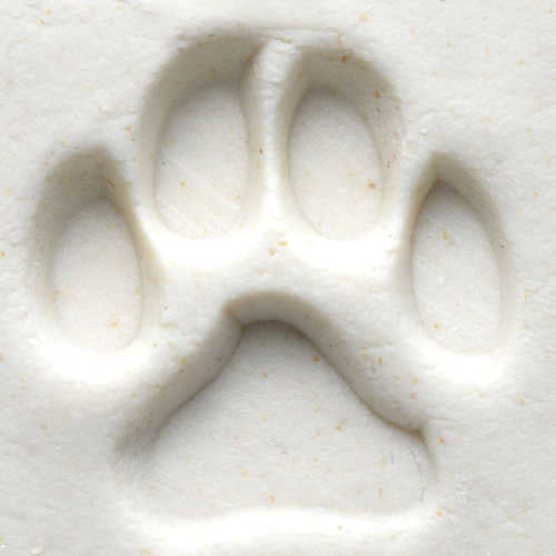 Scm-001 Medium Round Stamp &#8211; Dog Paw