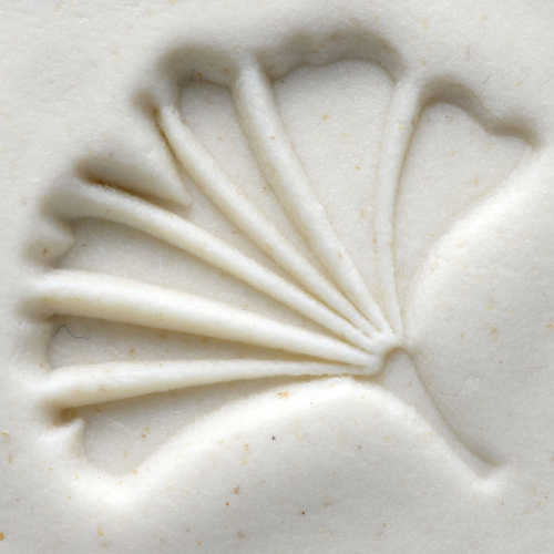 Scm-048 Medium Round Stamp &#8211; Gingko Leaf