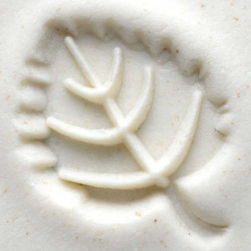 Scm-060 Medium Round Stamp &#8211; Beech Leaf